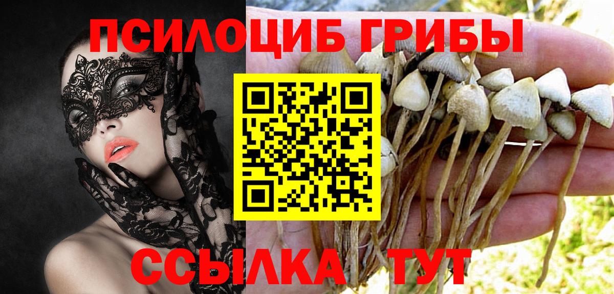 Сунжа  Галлюциногенные грибы ЛСД  Вход с VPN 