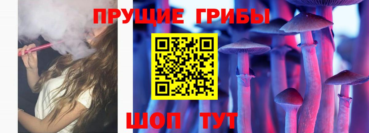 Псилоцибиновые грибы Psilocybine cubensis Сунжа